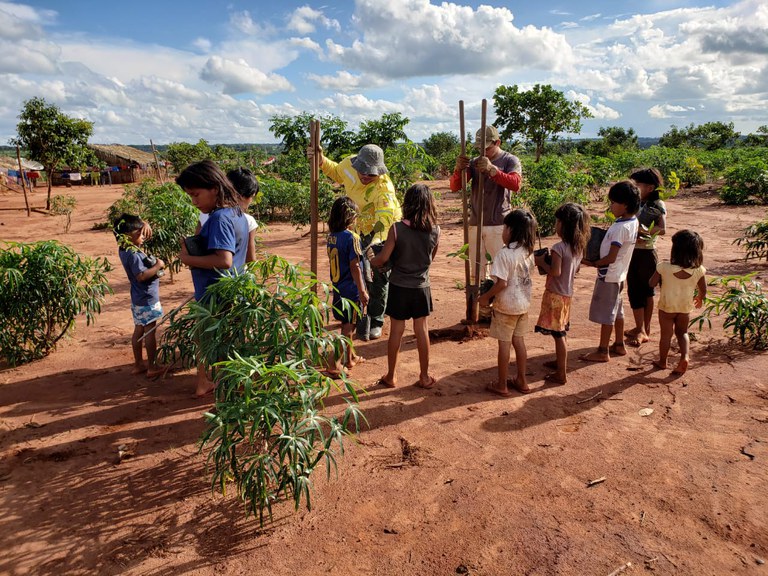 FUNAI: Edital seleciona projetos desenvolvidos por Brigadas Federais Indígenas para recuperação de áreas degradadas