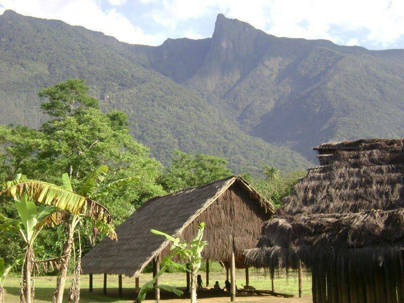 APIB: Lideranças Indígenas denunciam ataques e tentativa de invasão na Aldeia Renascer Ywyty Guaçu em Ubatuba