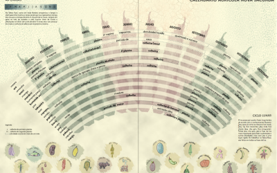 CTI: Povo Guarani de Nova Jacundá (PA) lança Plano de Gestão Territorial e Ambiental