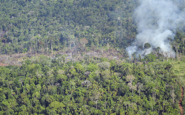 ISA: Alerta no Xingu! Agosto registrou pior desmatamento desde 2018