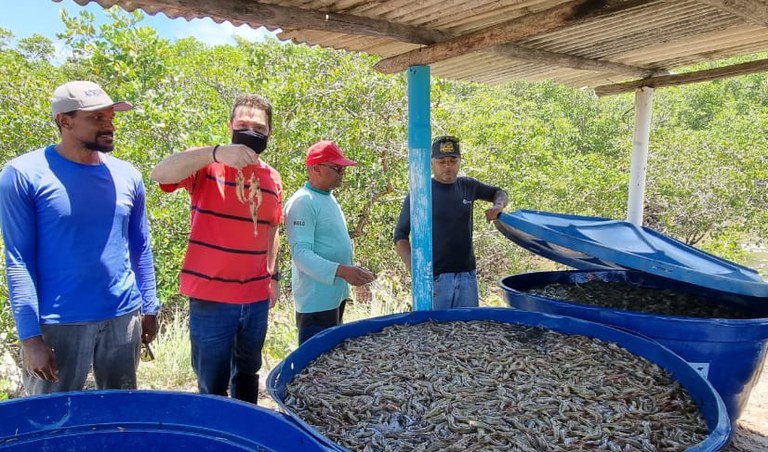 FUNAI: Na Paraíba, produção de camarão da etnia Potiguara recebe apoio da Funai