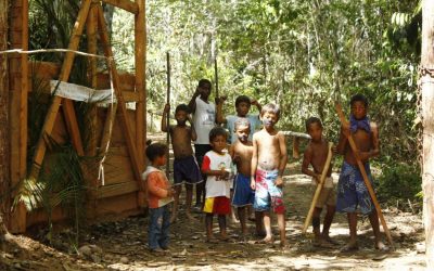 CIMI: Lideranças Pataxó da Aldeia Cahy Pequi vivem sob ataques e ameaças de empreendedores