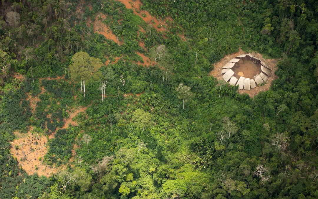 AMAZÔNIA REAL: Mortes por tiros de dois isolados Moxihatëtëa alertam para extinção na terra Yanomami