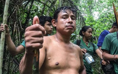 GREENPEACE: Genocídio, sim: assassinato de indígenas aumenta 61%