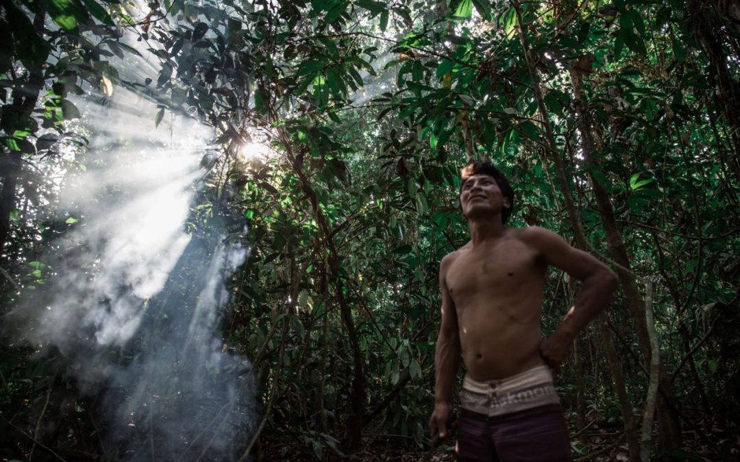 APIB: CARTA DE TARUMÃ: Declaração dos povos indígenas da Amazônia brasileira frente à crise climática