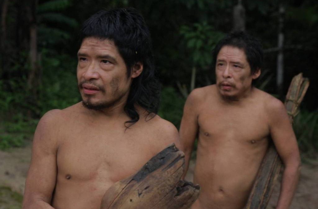 FOLHA DE SÃO PAULO: Indígenas isolados podem ser exterminados com o aval da Funai