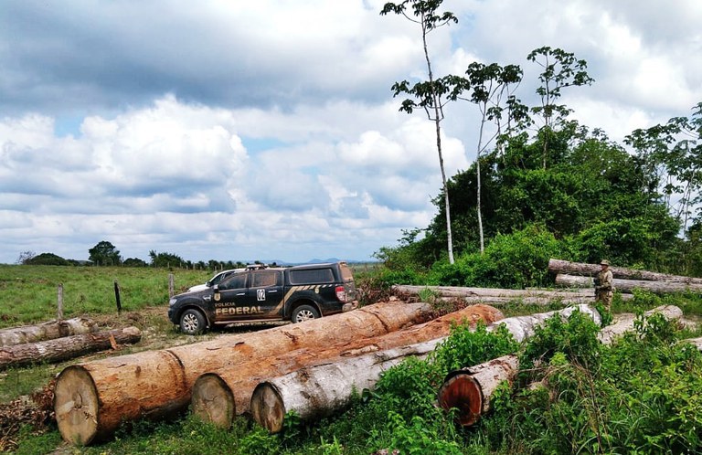 FUNAI: Funai e Polícia Federal deflagram operação conjunta para combater crimes ambientais em Terras Indígenas no Maranhão