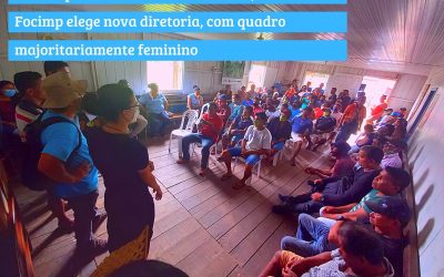 IEB: Em sua primeira Assembleia virtual, Focimp elege nova diretoria, com quadro majoritariamente feminino