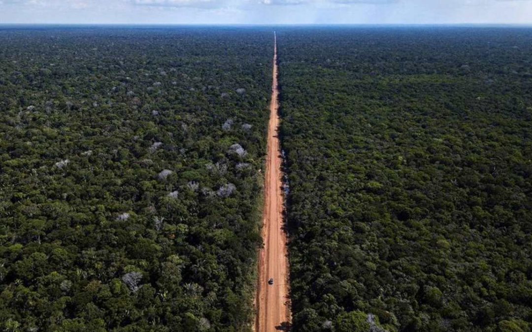 AMAZÔNIA NOTÍCIA E INFORMAÇÃO: DESMATAMENTOS E INVASÕES DE TERRA ATINGEM INDÍGENAS NA REGIÃO DA BR-319