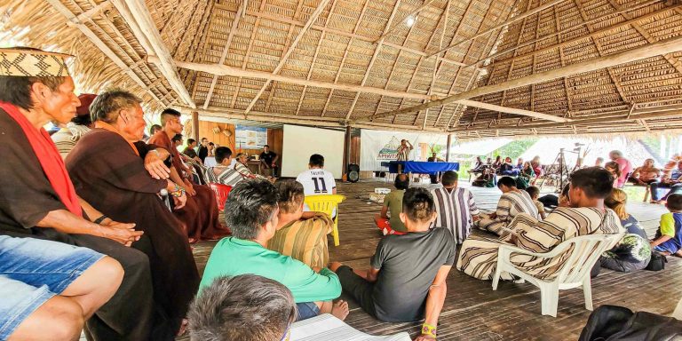 CPI- ACRE: Congresso Internacional Apiwtxa – Ameaças, Proteção e Desenvolvimento na Fronteira Amazônica