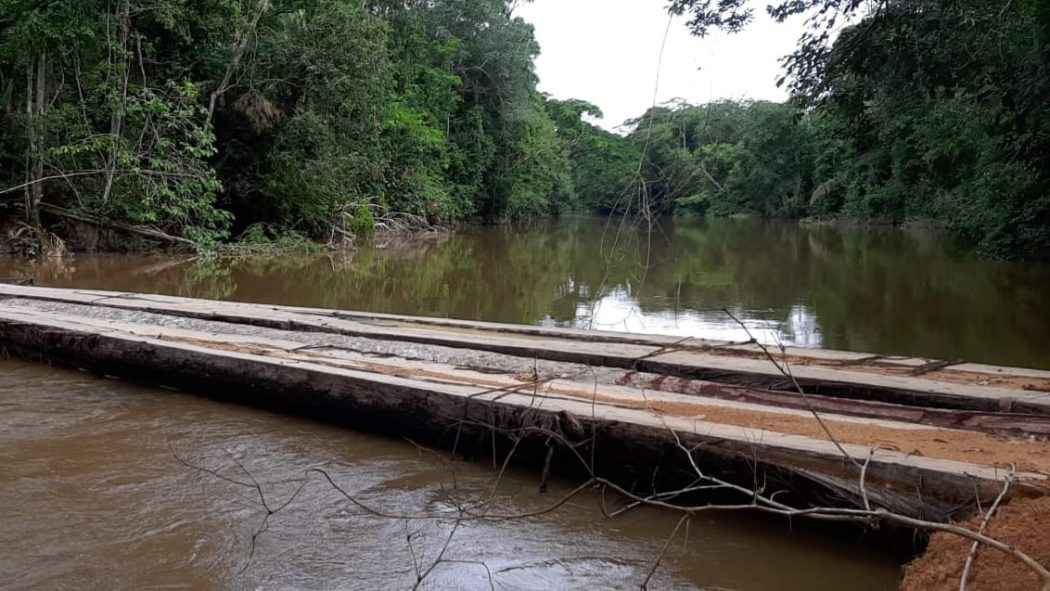 CIMI: Indígenas denunciam novos casos de roubo de madeira e grilagem de terra na TI Karipuna, em Rondônia