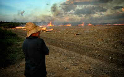 AMAZÔNIA REAL: A planejada exploração de terras indígenas aumenta o risco de novas pandemias:1 – O Projeto Millenium