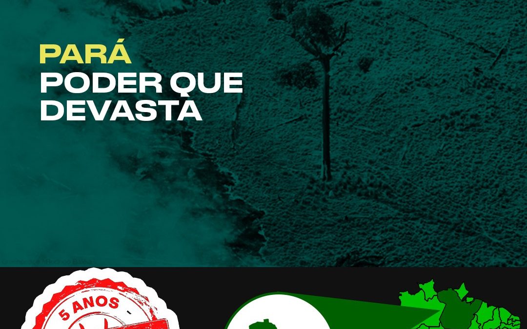 DE OLHO NOS RURALISTAS: Políticos e grandes empresas protagonizam violência e devastação no Pará