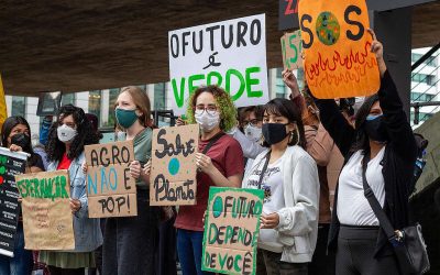 GREENPEACE: 2022 não será fácil, mas não estaremos sós