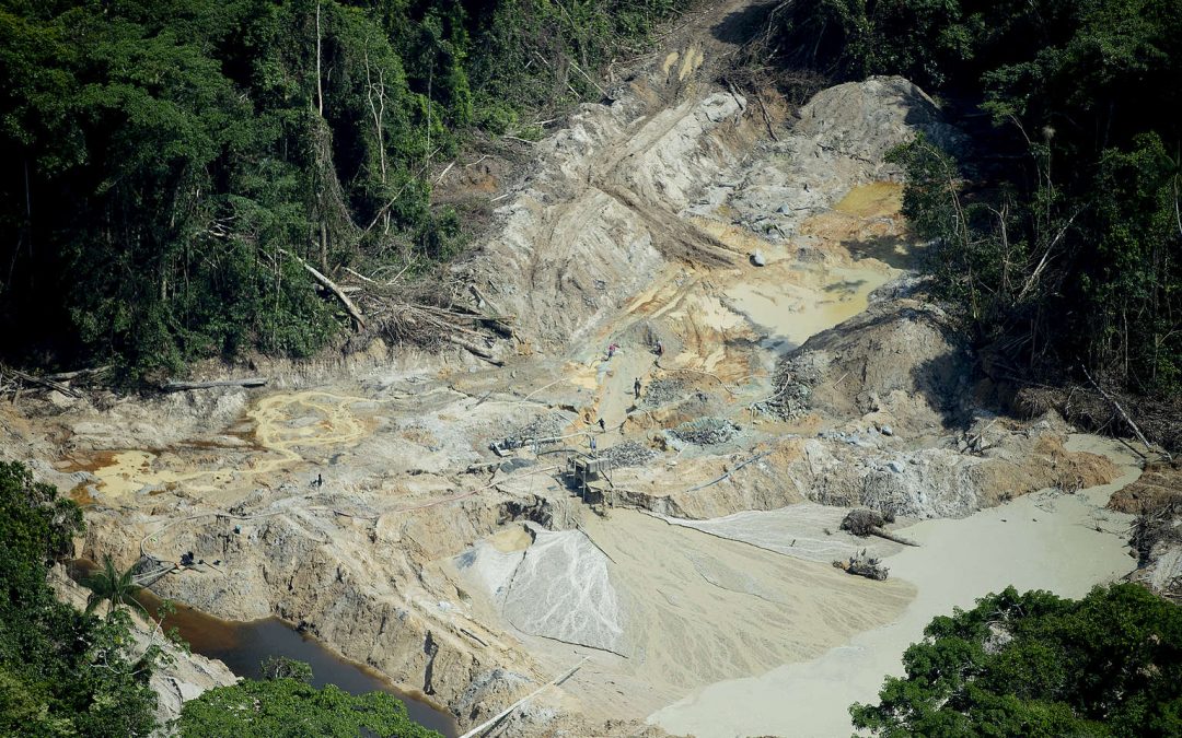 GREENPEACE: A morte dos rios