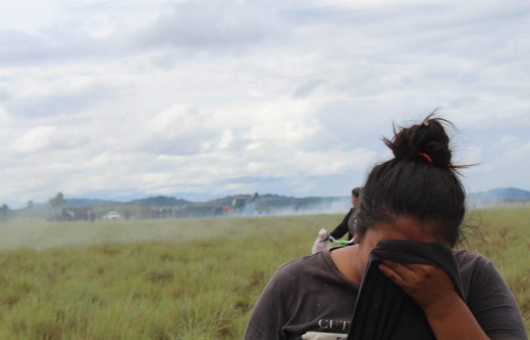 AMAZÔNIA REAL: Juíza de Roraima autoriza reintegração em terra indígena para ruralistas