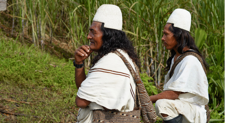 ONU: La panela, una dulce apuesta para que los indígenas sigan viviendo en la Sierra de Colombia