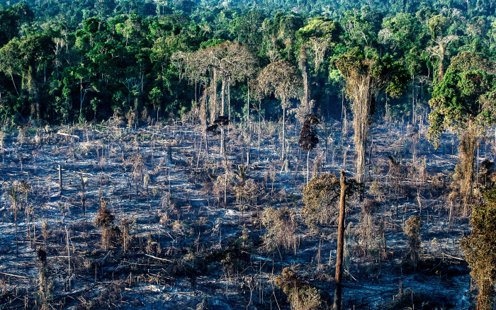 ISA: Desmatamento dispara em Ituna-Itatá, terra indígena com presença de isolados no Pará