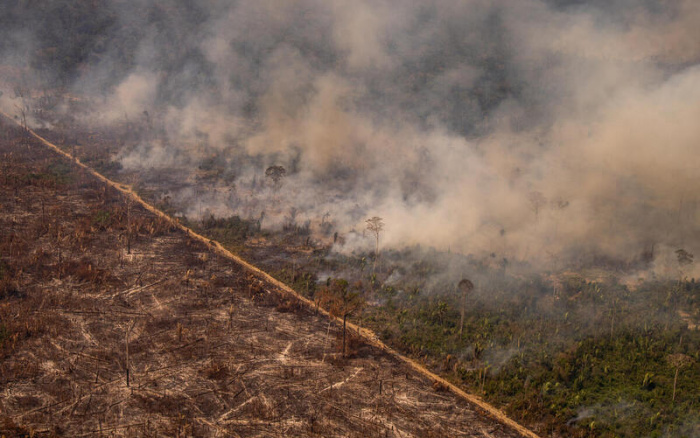 ISA: Governo Bolsonaro consolida projeto de destruição da Amazônia
