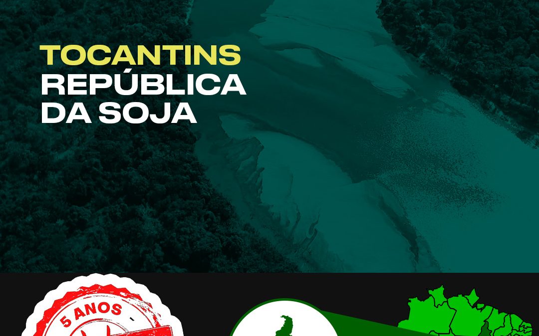 DE OLHO NOS RURALISTAS: De Kátia Abreu a Mauro Carlesse, Tocantins se afirma como símbolo do agronegócio