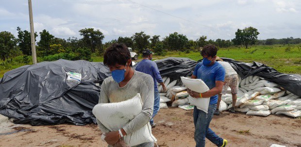 FUNAI: No Mato Grosso, Funai apoia plantio mecanizado de arroz por indígenas da etnia Xavante