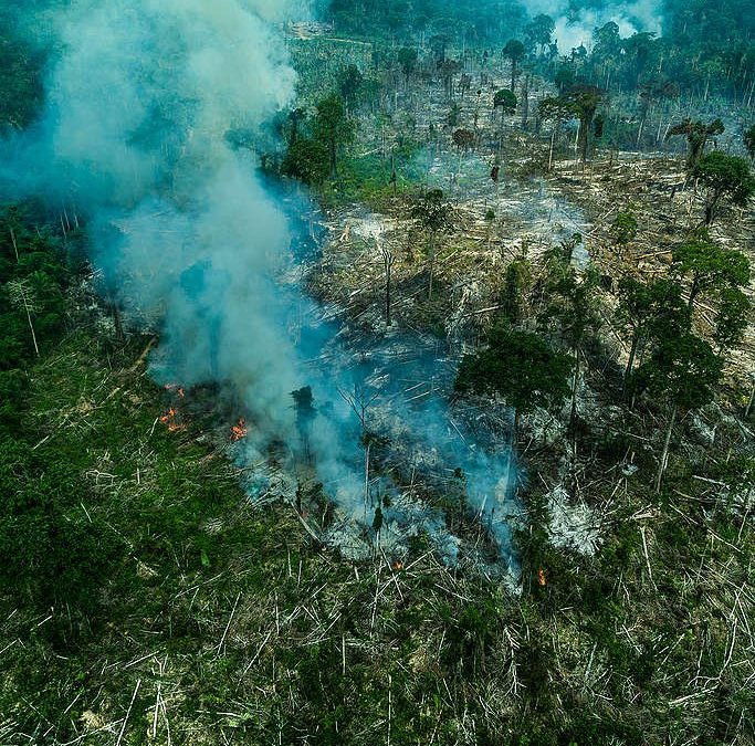GREENPEACE: Ituna-Itatá: 84% do desmatamento registrado na terra indígena ocorreu nos últimos 3 anos