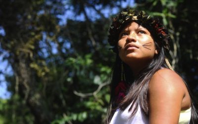 PLANALTO: Comitê vai monitorar ações de combate à Covid-19 destinadas aos povos indígenas