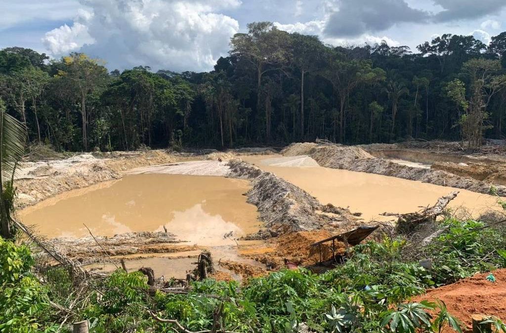 FOLHA DE SÃO PAULO: PF faz operação contra garimpo ilegal que turvou água do Caribe da Amazônia