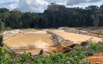 FOLHA DE SÃO PAULO: Indígenas isolados estão sob ataque