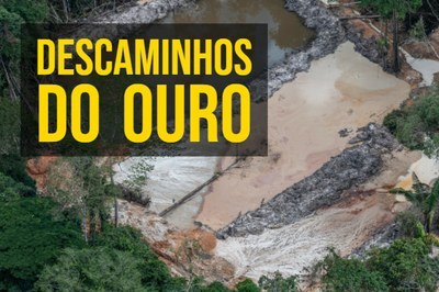MPF: ANM coloca em risco área protegida e MPF pede à Justiça proibição de novos garimpos em Santarém, no Pará