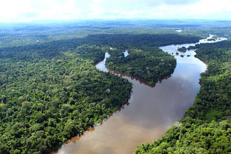 BRASIL DE FATO: Novo grupo indígena isolado é identificado na Amazônia e já corre risco de extinção