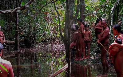 BRASIL DE FATO: Reabertura da Floresta do Trombetas, no Pará, pode aumentar casos de covid-19 entre indígenas