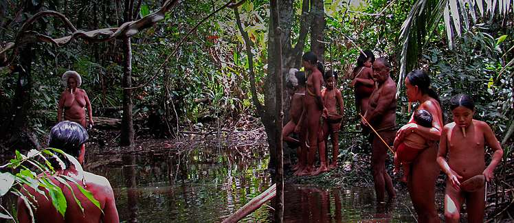 BRASIL DE FATO: Reabertura da Floresta do Trombetas, no Pará, pode aumentar casos de covid-19 entre indígenas
