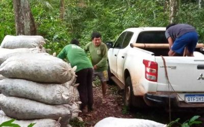 FUNAI: Funai distribui 10,5 toneladas de alimentos para famílias indígenas do Parque do Xingu