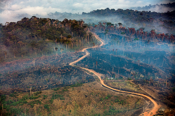 ISA: #FiqueSabendo de janeiro: Amazônia teve pior desmatamento da década em 2021