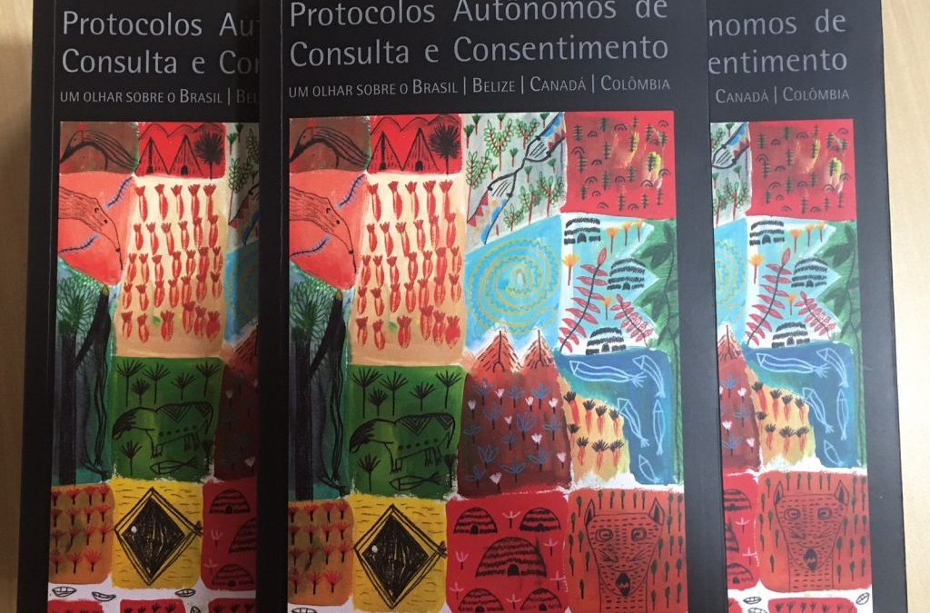 IEPÉ: Novo da RCA livro traz reflexões sobre os protocolos de consulta em quatro países