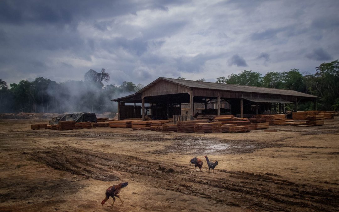 AMAZÔNIA REAL: Por que a rodovia BR-319 é tão prejudicial: 1 – Um desastre evitável