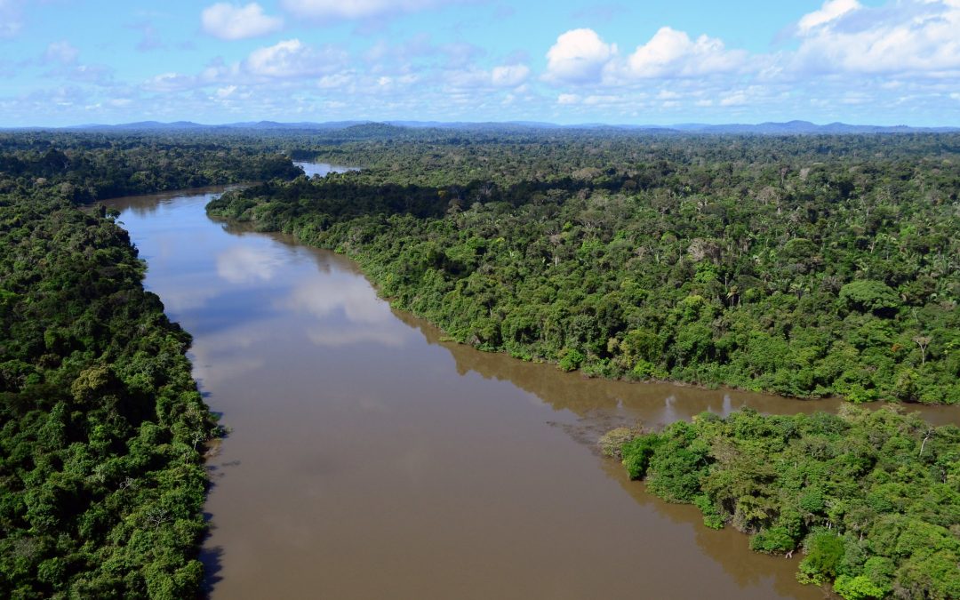 AMAZÔNIA REAL: Barragens no rio Jamanxim ameaçam o meio ambiente e os povos indígenas: 2 – Impactos das represas planejadas