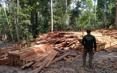 FUNAI: Proteção: Funai destinou mais de R$ 70 milhões para ações de fiscalização de Terras Indígenas nos últimos 3 anos