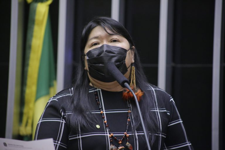 CÂMARA: Projeto transforma em lei a atual política de gestão de terras indígenas