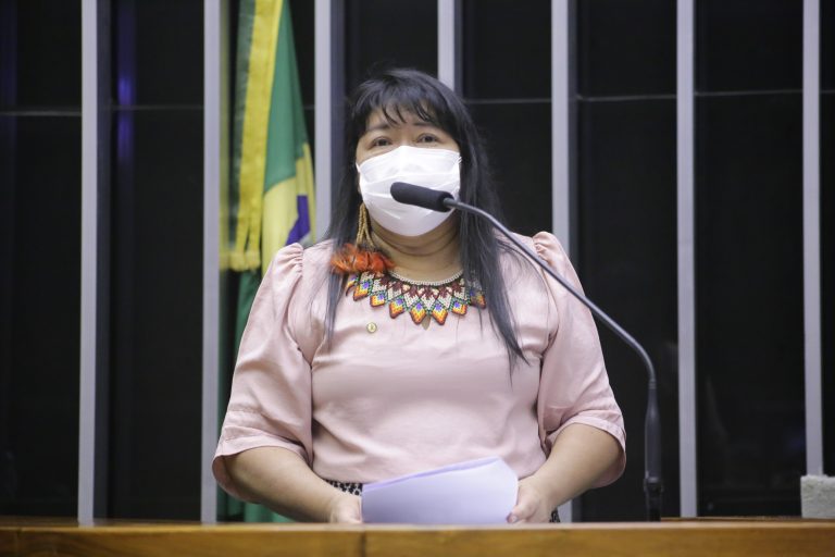 CÂMARA: Câmara debate participação das mulheres indígenas na política nesta terça