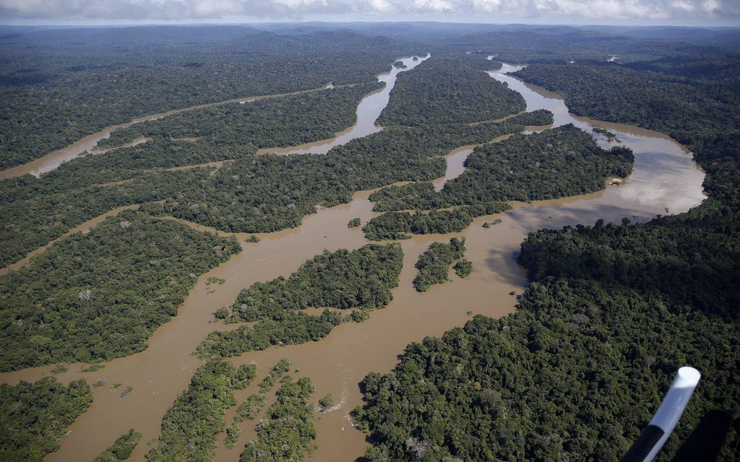 AMAZÔNIA REAL: Barragens no rio Jamanxim ameaçam o meio ambiente e os povos indígenas: 1 – As barragens planejadas