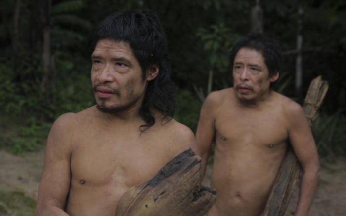 ISA: Parte de terra com indígenas isolados no Mato Grosso foi leiloada pela União