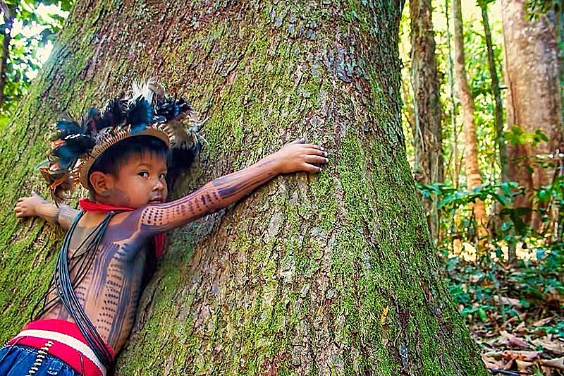 BRASIL DE FATO: “Povos indígenas, com terras demarcadas, salvam vidas”, afirma Alva Rosa no Bem Viver na TV