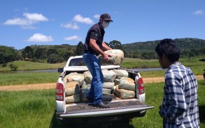 FUNAI: Funai distribui 5,2 mil cestas básicas para famílias indígenas da Região Sul