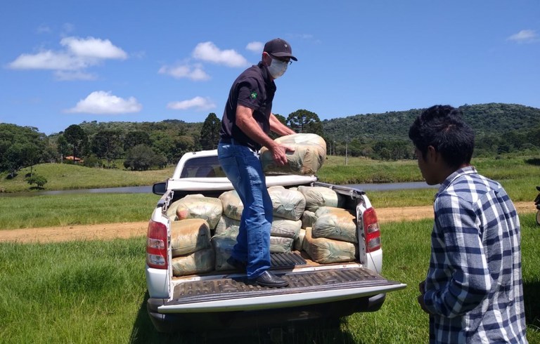 FUNAI: Funai distribui 5,2 mil cestas básicas para famílias indígenas da Região Sul
