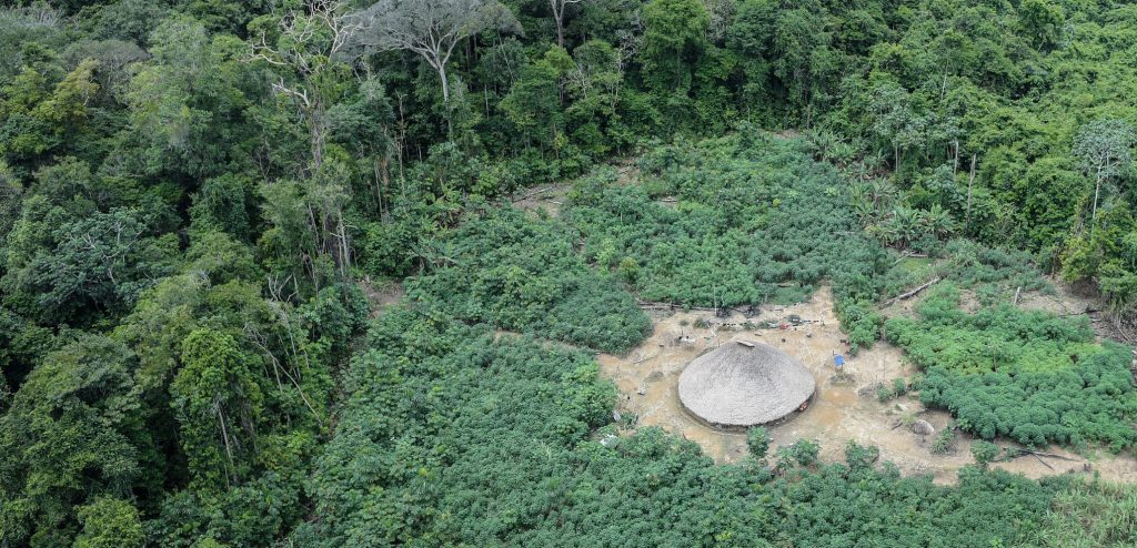 AMAZÔNIA NOTÍCIA E INFORMAÇÃO: PERDA FLORESTAL NA AMAZÔNIA É 17 VEZES MENOR EM TERRAS INDÍGENAS QUE EM ÁREAS NÃO PROTEGIDAS