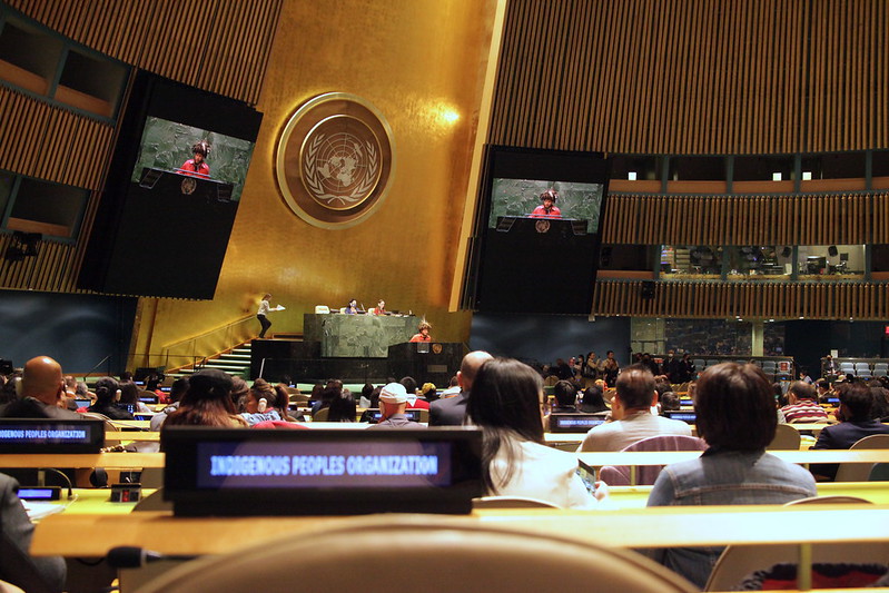 CIMI: Evento paralelo ao Fórum Permanente sobre Assuntos Indígenas da ONU debate sobre povos em isolamento e os desafios frente a atual conjuntura
