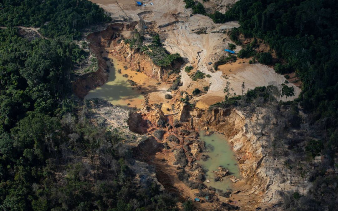 SURVIVAL: Venezuela e Brasil: crescimento da violência e destruição ameaçam os Yanomami