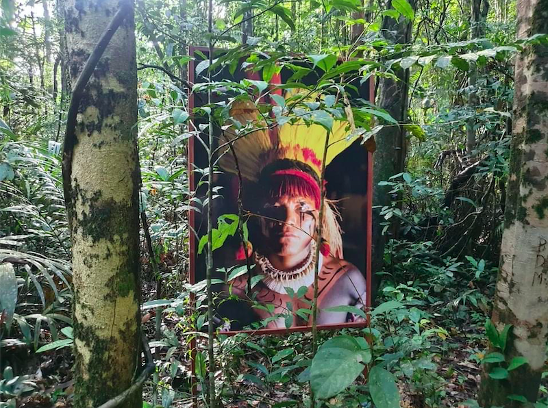 AMAZÔNIA NOTÍCIA E INFORMAÇÃO: EM EXPOSIÇÃO FOTOGRÁFICA NA FLORESTA DO MUSEU DA AMAZÔNIA, RENATO SOARES NOS LEMBRA QUE ‘ESTA TERRA TEM DONO’ E É INDÍGENA